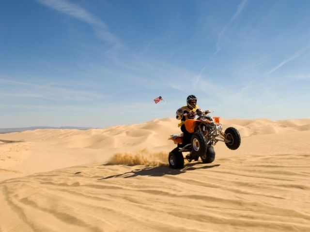 Morning Desert Safari