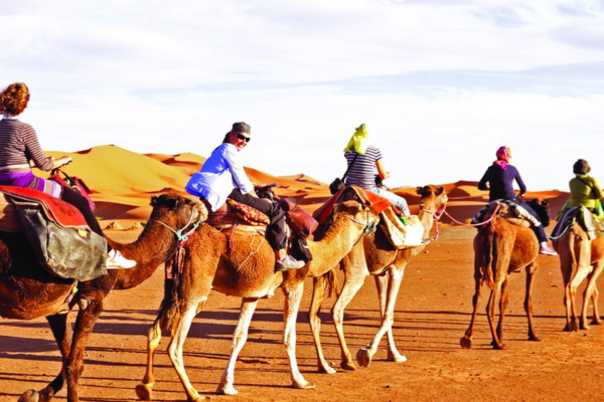 Desert Safari