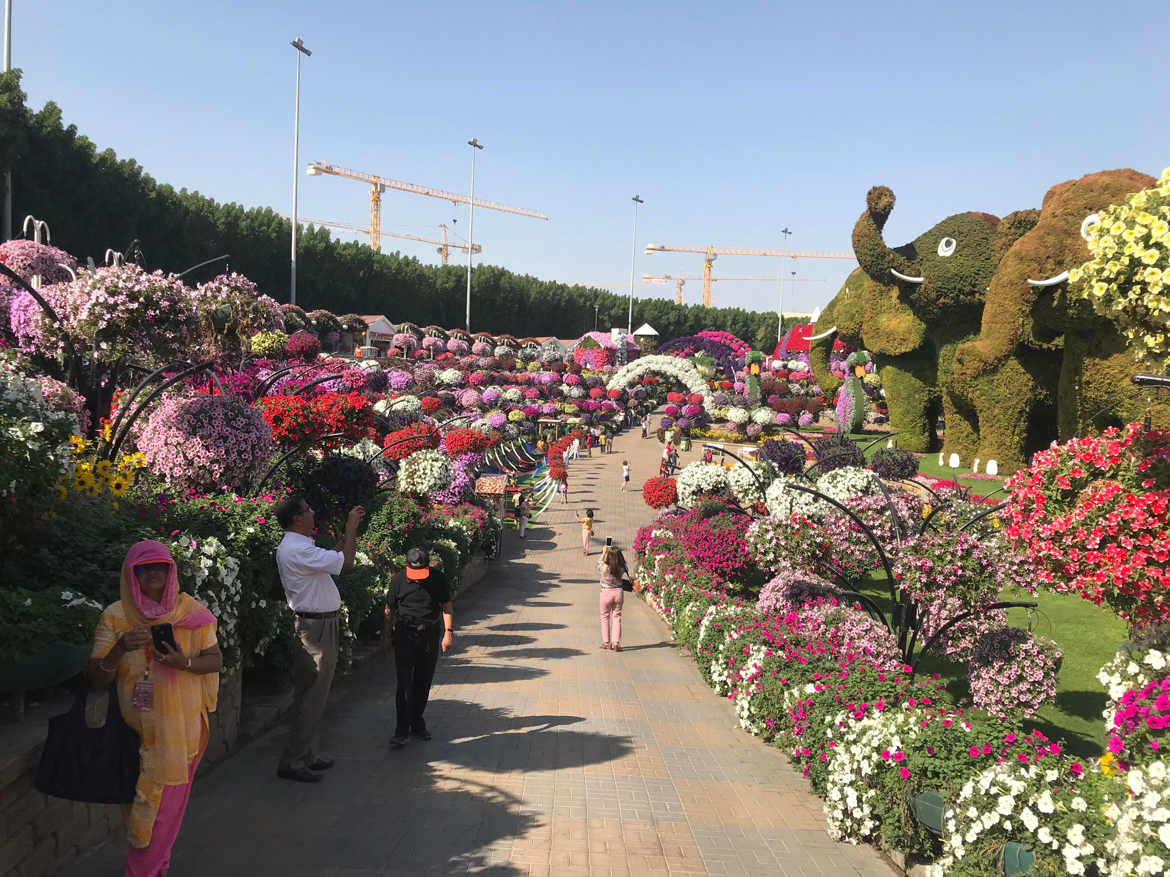 Dubai Miracle Garden
