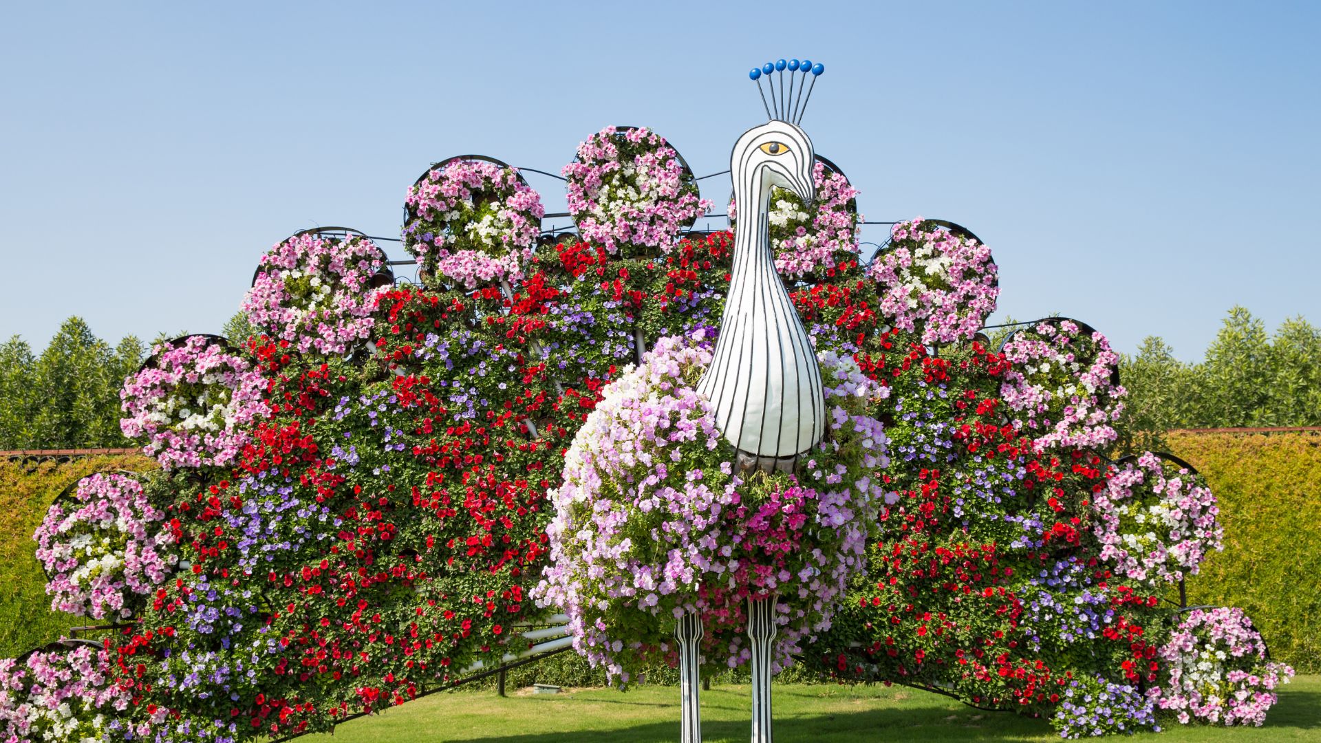 Dubai Miracle Garden